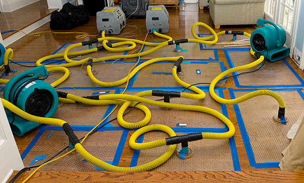 Professional Water Extraction technician working in Cove City, NC