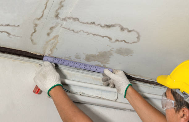 Affordable Water Damage Repair solutions in Cove City, NC